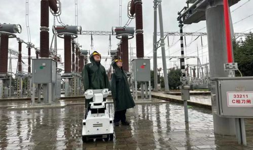 智能巡檢助力雷電防護 國網慶陽供電公司織密電網防汛避險安全網
